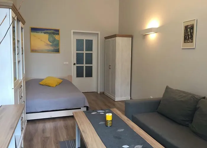 Ciurlionio Street Apartment