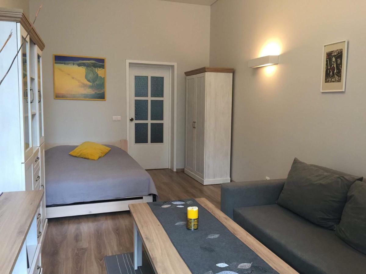 Ciurlionio Street Apartment Vilnius